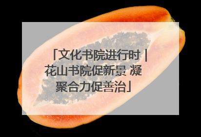 文化书院进行时｜花山书院促新景 凝聚合力促善治