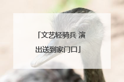 文艺轻骑兵 演出送到家门口