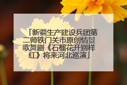 新疆生产建设兵团第二师铁门关市原创情景歌舞剧《石榴花开别样红》将来河北巡演