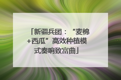 新疆兵团：“麦棉+西瓜”高效种植模式奏响致富曲