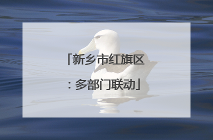 新乡市红旗区：多部门联动