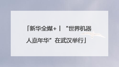 新华全媒+丨“世界机器人嘉年华”在武汉举行