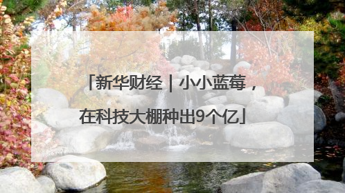 新华财经｜小小蓝莓，在科技大棚种出9个亿