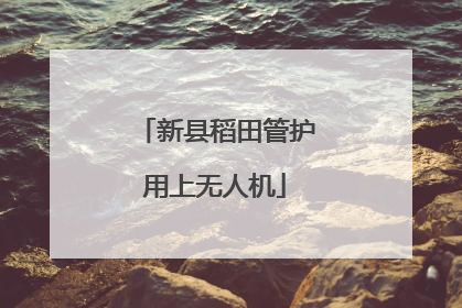新县稻田管护用上无人机