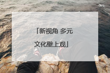 新视角 多元文化壁上观