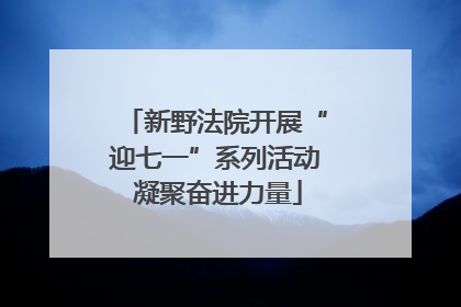 新野法院开展“迎七一”系列活动 凝聚奋进力量