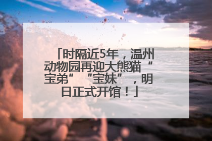 时隔近5年，温州动物园再迎大熊猫“宝弟”“宝妹”，明日正式开馆！
