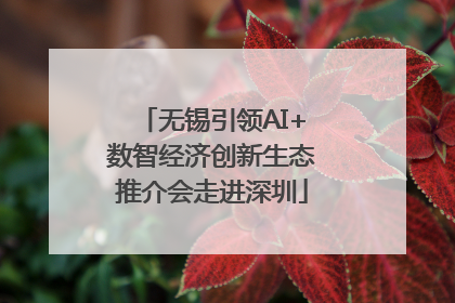 无锡引领AI+数智经济创新生态推介会走进深圳