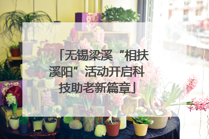 无锡梁溪“相扶溪阳”活动开启科技助老新篇章