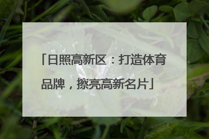 日照高新区：打造体育品牌，擦亮高新名片