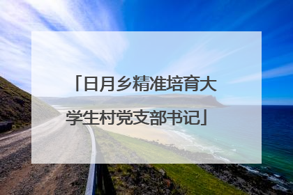 日月乡精准培育大学生村党支部书记
