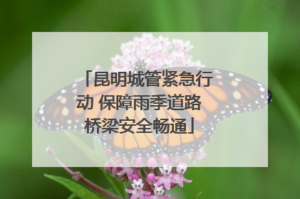 昆明城管紧急行动 保障雨季道路桥梁安全畅通