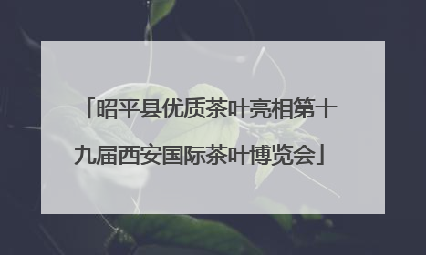 昭平县优质茶叶亮相第十九届西安国际茶叶博览会