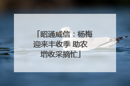 昭通威信：杨梅迎来丰收季 助农增收采摘忙