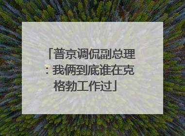 普京调侃副总理：我俩到底谁在克格勃工作过