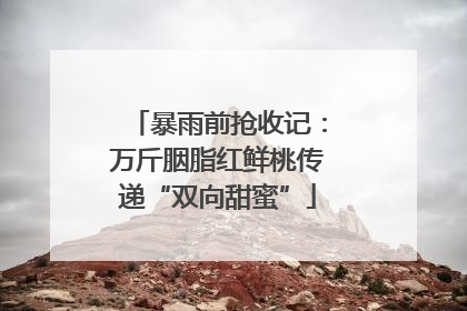 暴雨前抢收记：万斤胭脂红鲜桃传递“双向甜蜜”
