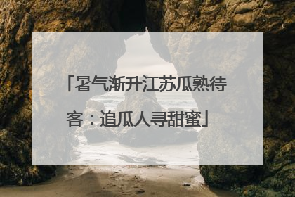 暑气渐升江苏瓜熟待客：追瓜人寻甜蜜