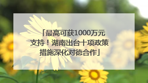 最高可获1000万元支持！湖南出台十项政策措施深化对德合作