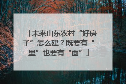 未来山东农村“好房子”怎么建？既要有“里”也要有“面”