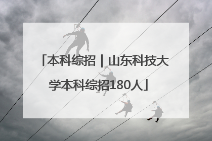 本科综招｜山东科技大学本科综招180人