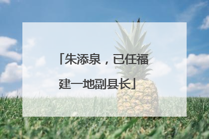 朱添泉，已任福建一地副县长