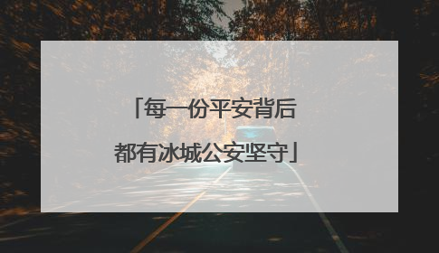 每一份平安背后 都有冰城公安坚守