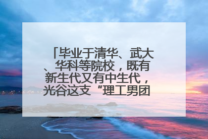 毕业于清华、武大、华科等院校，既有新生代又有中生代，光谷这支“理工男团”为何“出道”？