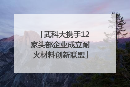 武科大携手12家头部企业成立耐火材料创新联盟