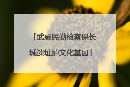 武威民勤检察保长城遗址护文化基因