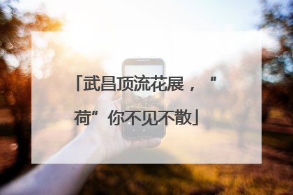 武昌顶流花展，“荷”你不见不散