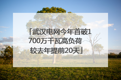 武汉电网今年首破1700万千瓦高负荷 较去年提前20天