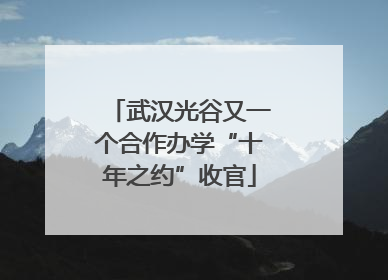 武汉光谷又一个合作办学“十年之约”收官