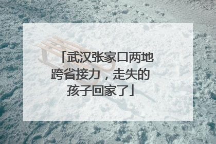 武汉张家口两地跨省接力，走失的孩子回家了