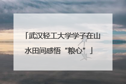 武汉轻工大学学子在山水田间感悟“粮心”