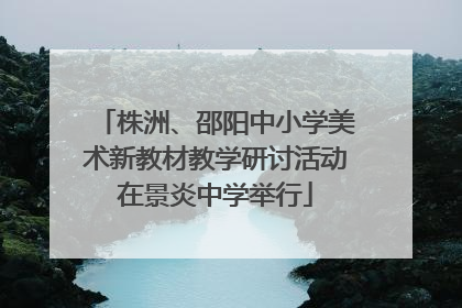 株洲、邵阳中小学美术新教材教学研讨活动在景炎中学举行