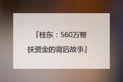 桂东：560万帮扶资金的背后故事