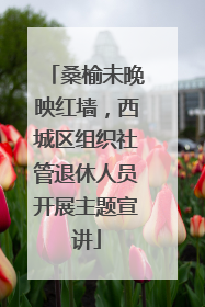 桑榆未晚映红墙，西城区组织社管退休人员开展主题宣讲