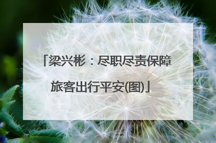 梁兴彬：尽职尽责保障旅客出行平安(图)