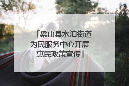 梁山县水泊街道为民服务中心开展惠民政策宣传