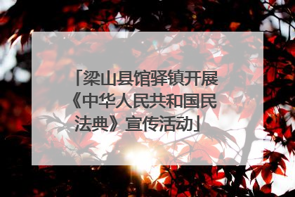 梁山县馆驿镇开展《中华人民共和国民法典》宣传活动