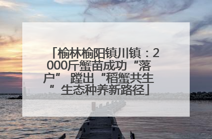榆林榆阳镇川镇：2000斤蟹苗成功“落户” 蹚出“稻蟹共生”生态种养新路径