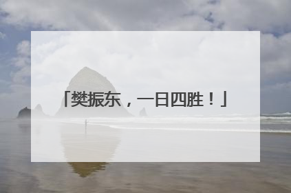 樊振东，一日四胜！