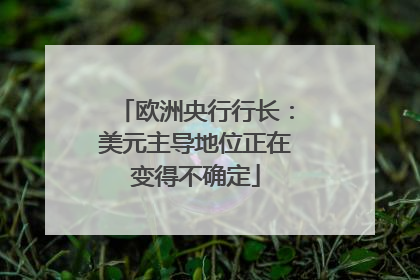欧洲央行行长：美元主导地位正在变得不确定