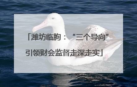 潍坊临朐：“三个导向”引领财会监督走深走实