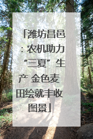 潍坊昌邑：农机助力“三夏”生产 金色麦田绘就丰收图景