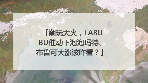 潮玩大火，LABUBU催动下泡泡玛特、布鲁可大涨该咋看？