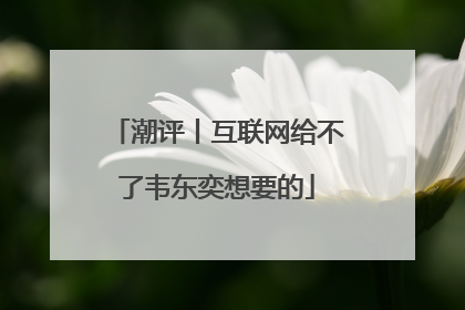 潮评丨互联网给不了韦东奕想要的