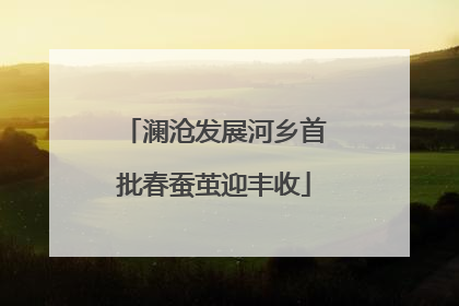 澜沧发展河乡首批春蚕茧迎丰收