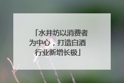 水井坊以消费者为中心，打造白酒行业新增长极