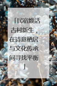 民宿焕活古村新生，在诗意栖居与文化传承间寻找平衡